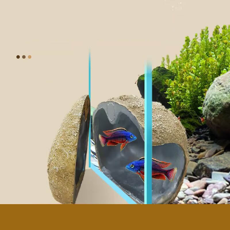 Aquarium Decorations