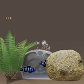 Casa de refugio con imán para pecera