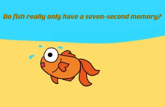 The Myth of a Seven-Second Memory: Debunking the Fishy Tale