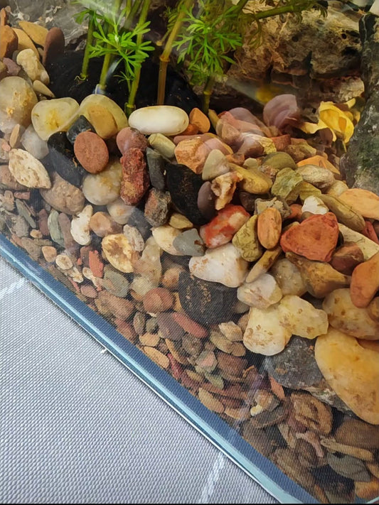 How Often Should You Replace Gravel in Your Aquarium? A Complete Guide