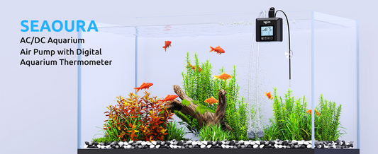 Creating a Healthy Aquatic Environment: A Comprehensive Analysis of Seaoura Aquarium Air Pump