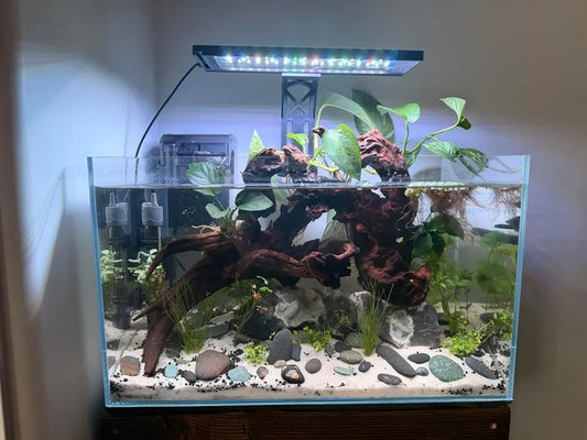 All-in-one desktop smart aquarium tank