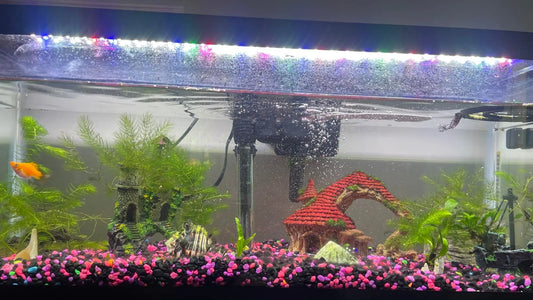 Why Does My Aquarium Light Flicker? Causes and Troubleshooting