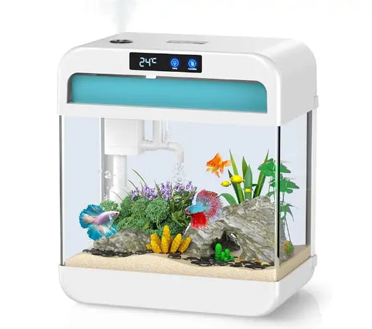 Best Small Fish Tank for Beginners