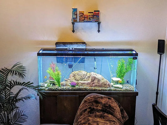 Bright aquarium light for home use