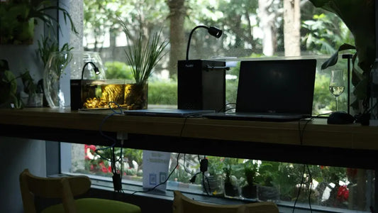 Nano Aquariums