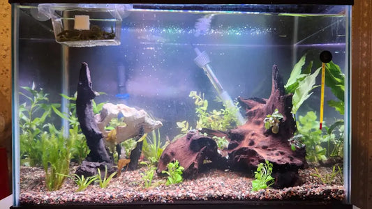 Aquarium Heater Guide: Complete Expert Setup & Safety Guide