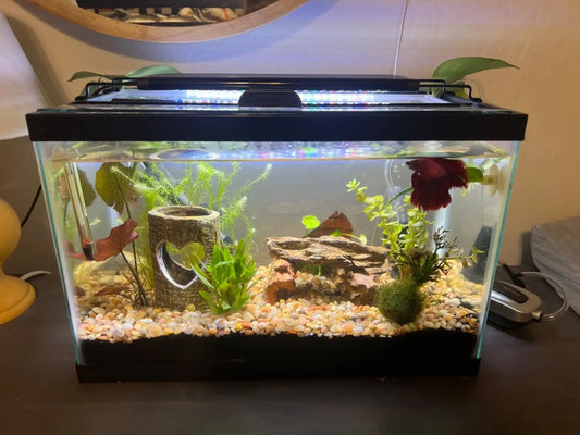 Full spectrum aquarium light
