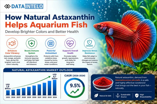 How Natural Astaxanthin Helps Aquarium Fish Develop Brighter Colors and Better Health