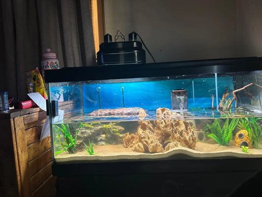 LED aquarium light for fish tanks