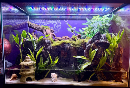 How High Should an Aquarium Light Be Above Water? Aquarium LED Light Placement Guide