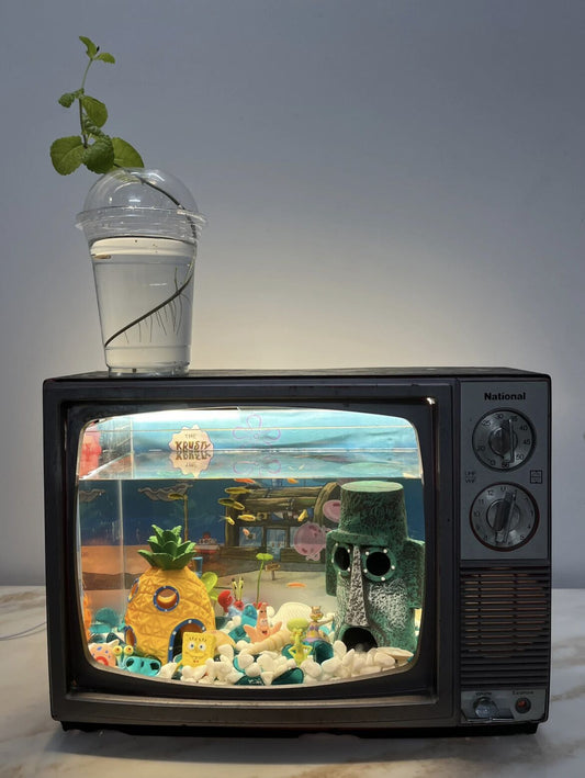 Aquarium Beginners Guide: How to Start Fishkeeping with Proper Lighting