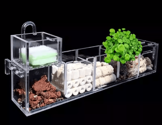 Clear acrylic aquarium hang-on filter box with multi-stage filtration media