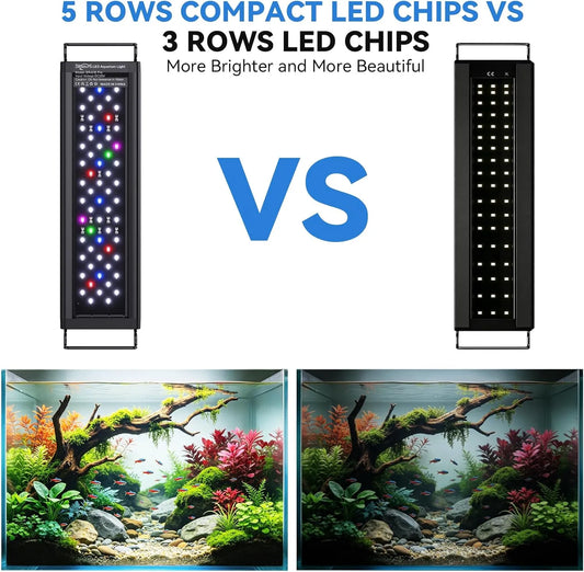 Cheap vs Premium Aquarium Lights: Which Aquarium LED Light Is Worth Buying?