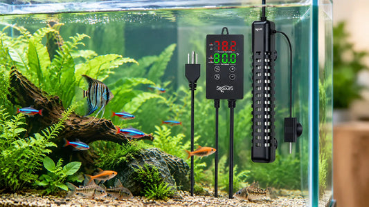 Can Aquarium Heater Stay on All the Time?