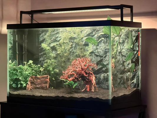 Seaoura aquarium product