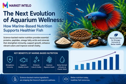 The Next Evolution of Aquarium Wellness