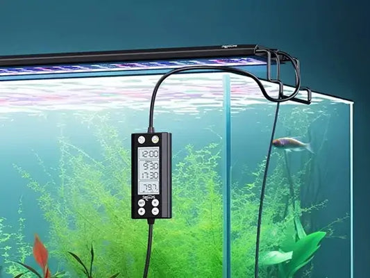 What Are the Best LED Lights for Aquarium Plants
