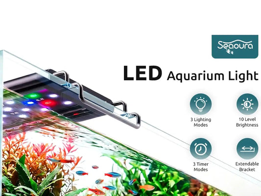 best_aquarium_light_for_plants