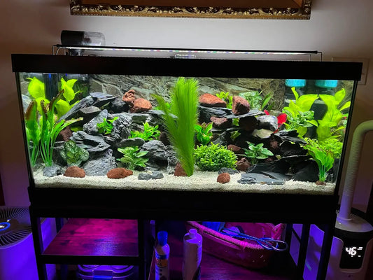 full spectrum aquarium light LED