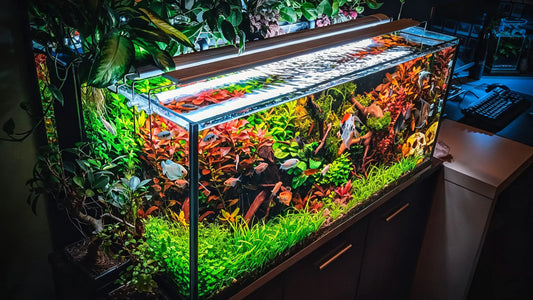 Aluminum vs Plastic Aquarium Lights
