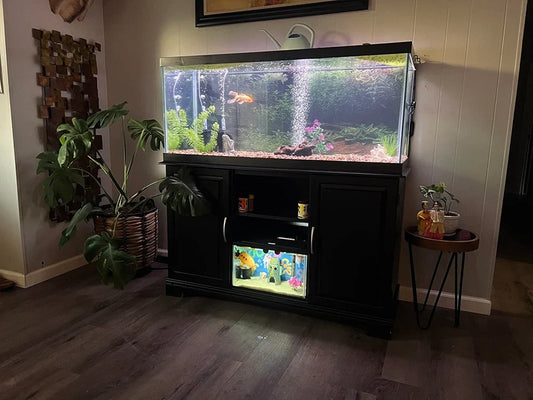 seaoura sr series product