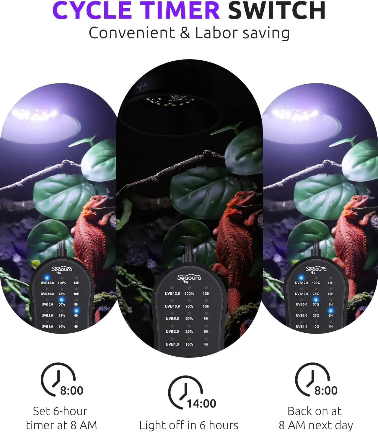 24h cycle timer reptile light automatic day night lighting demo