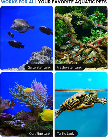 Aquarium Chiller Fan application