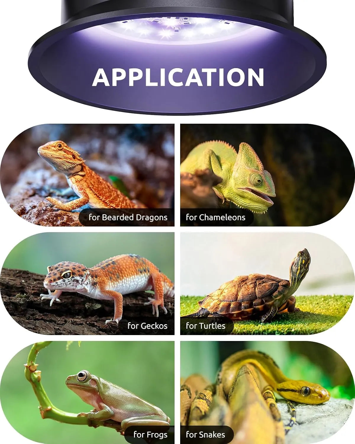 Multi-scene reptile UV light application lizard turtle chameleon snake frog