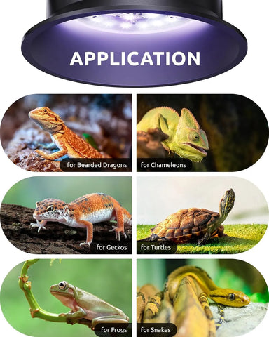 Multi-scene reptile UV light application lizard turtle chameleon snake frog