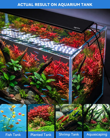 SR-654 Planted aquarium light real tank display