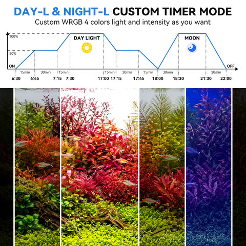 SR 620 day night custom timer ramp mode chart