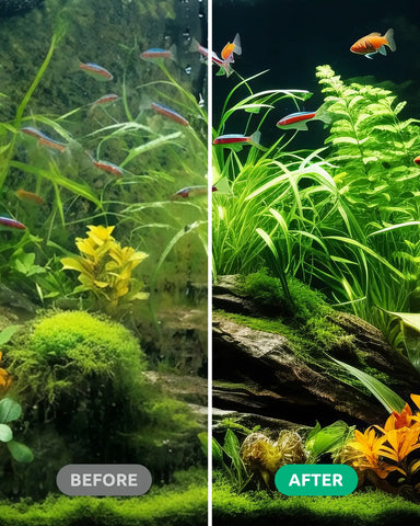 Seaoura SR-517  Aquarium Algae Scraper Cleaning Kit 5 in 1