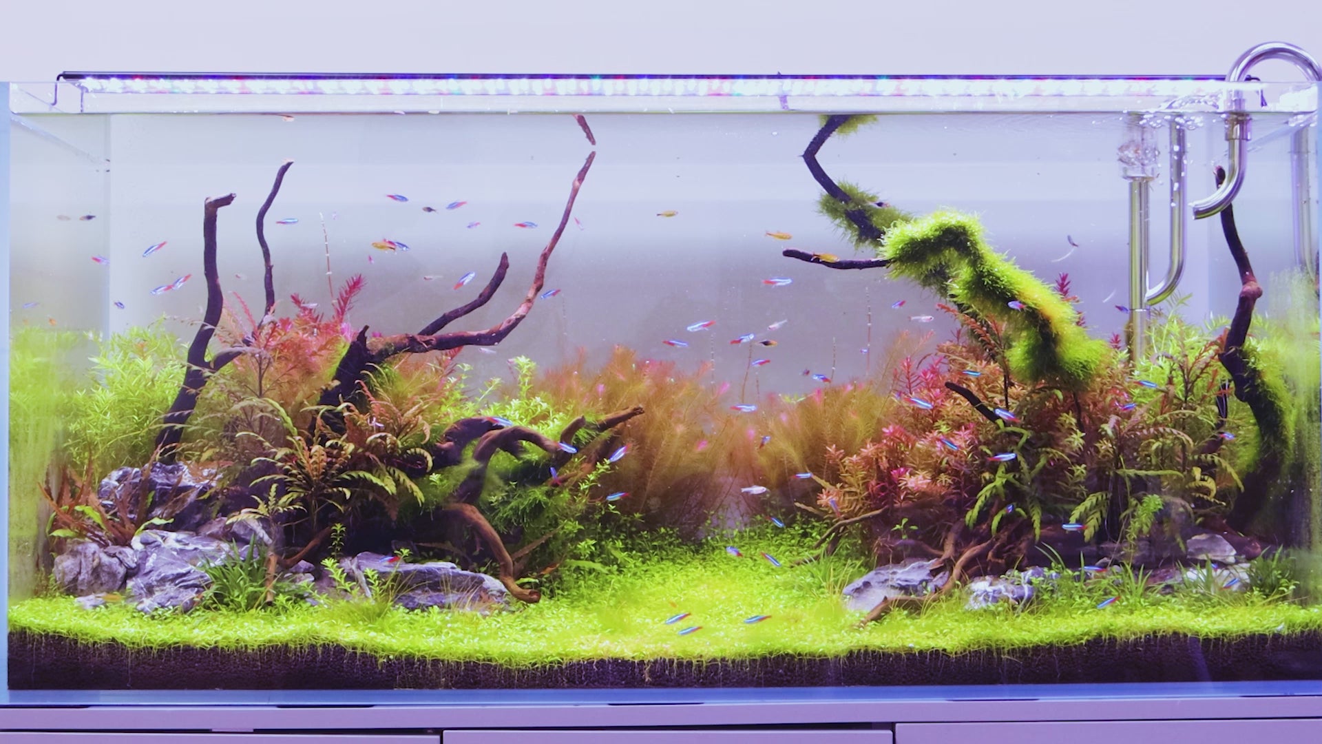 Seaoura SR-654 Full Spectrum Aquarium Light