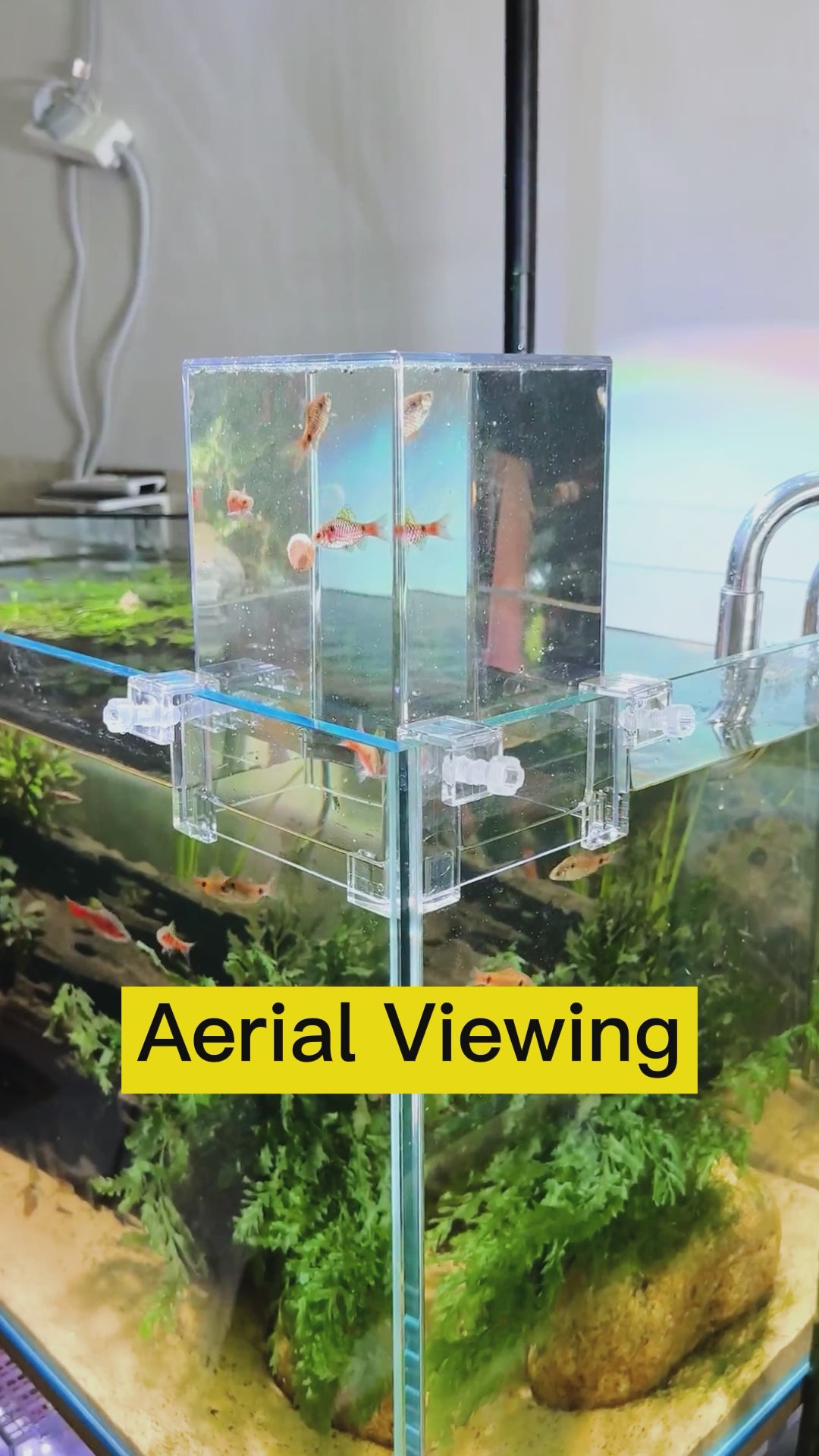 Seaoura Floating Aquarium - Compact Fish Tank for Home or Office